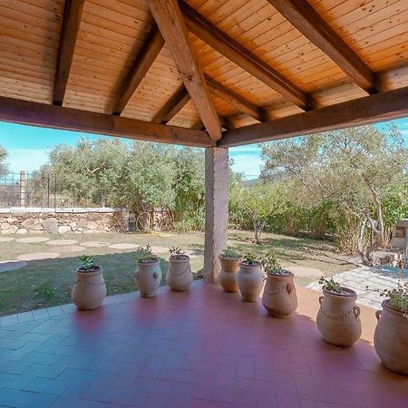 B&B Pettirosso Garden San Teodoro  Buitenkant foto