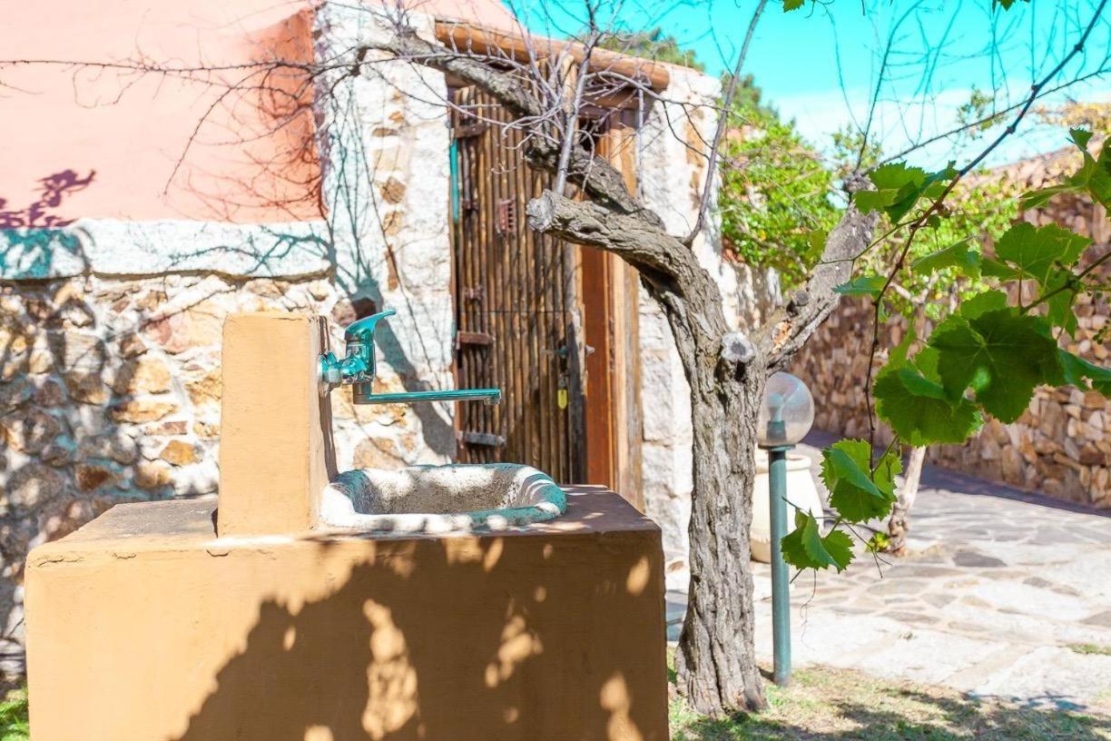 B&B Pettirosso Garden San Teodoro  Buitenkant foto