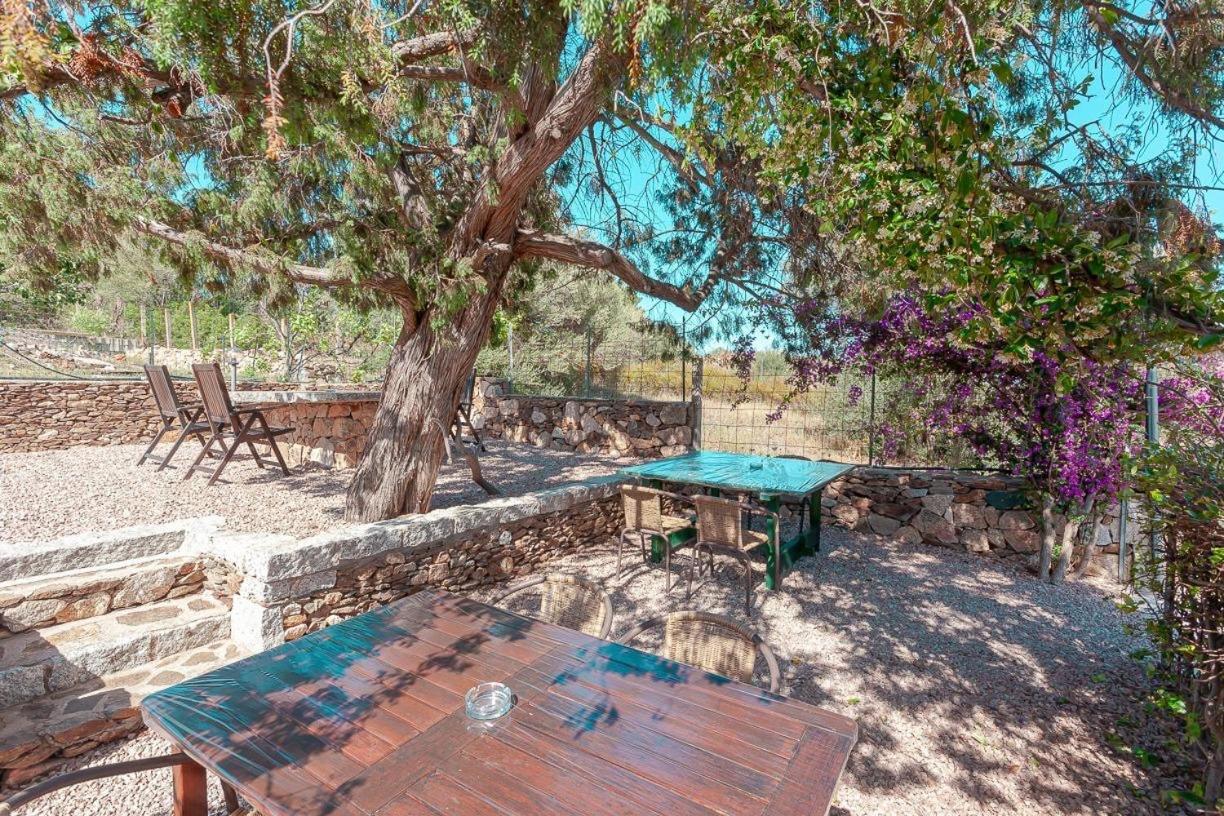 B&B Pettirosso Garden San Teodoro  Buitenkant foto
