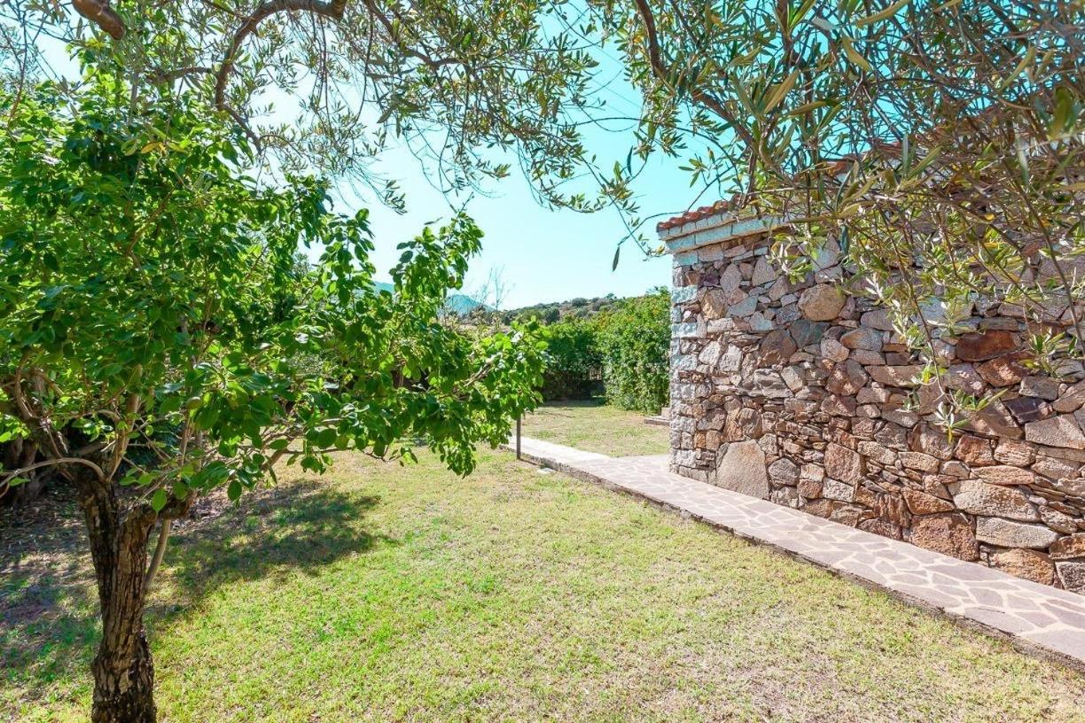 B&B Pettirosso Garden San Teodoro  Buitenkant foto