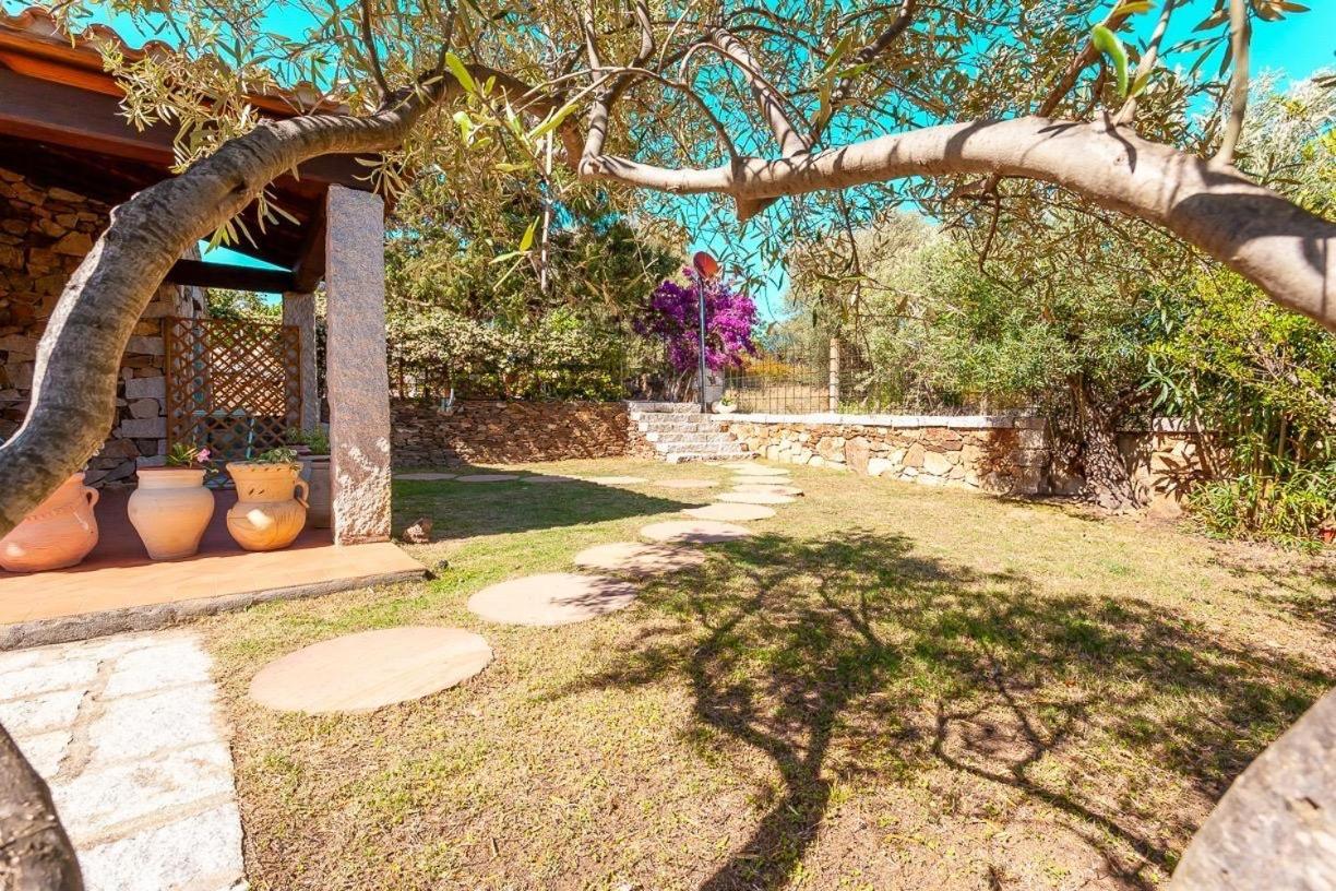 B&B Pettirosso Garden San Teodoro  Buitenkant foto