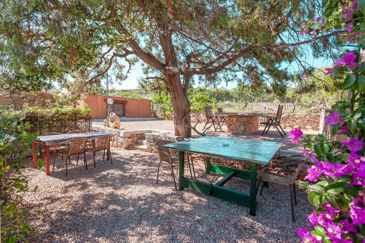 B&B Pettirosso Garden San Teodoro  Buitenkant foto