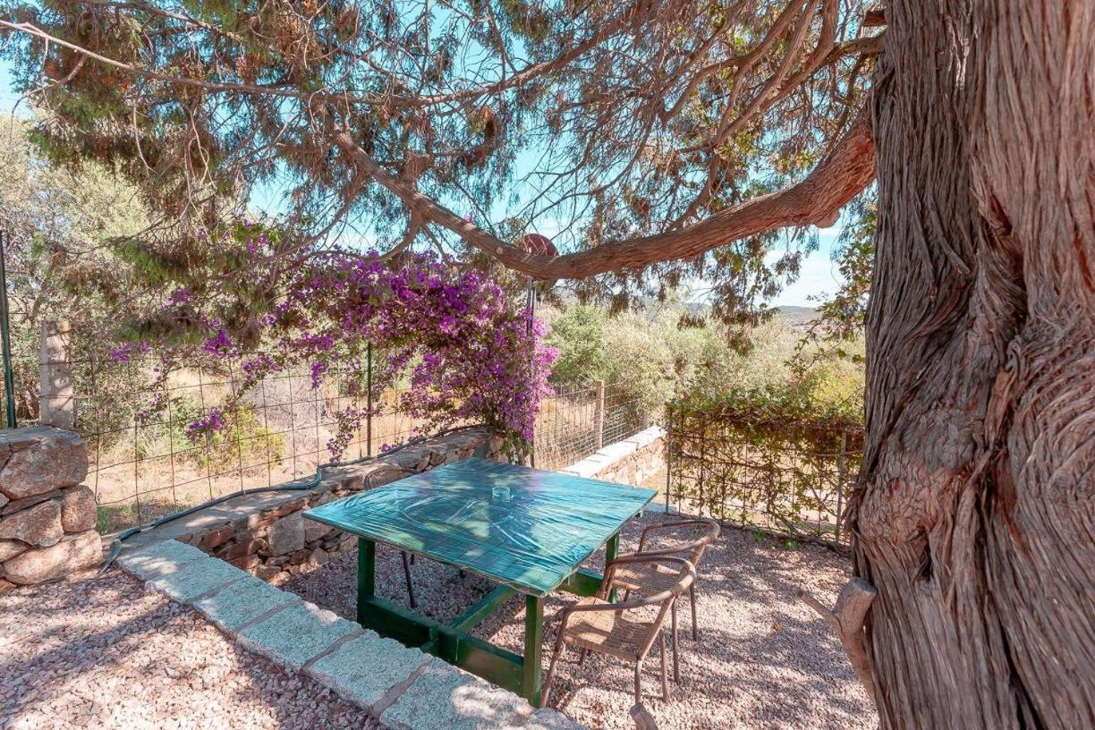 B&B Pettirosso Garden San Teodoro  Buitenkant foto
