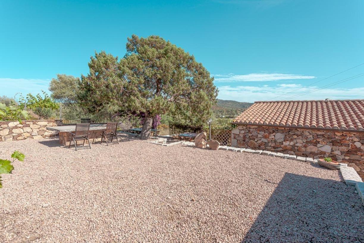 B&B Pettirosso Garden San Teodoro  Buitenkant foto